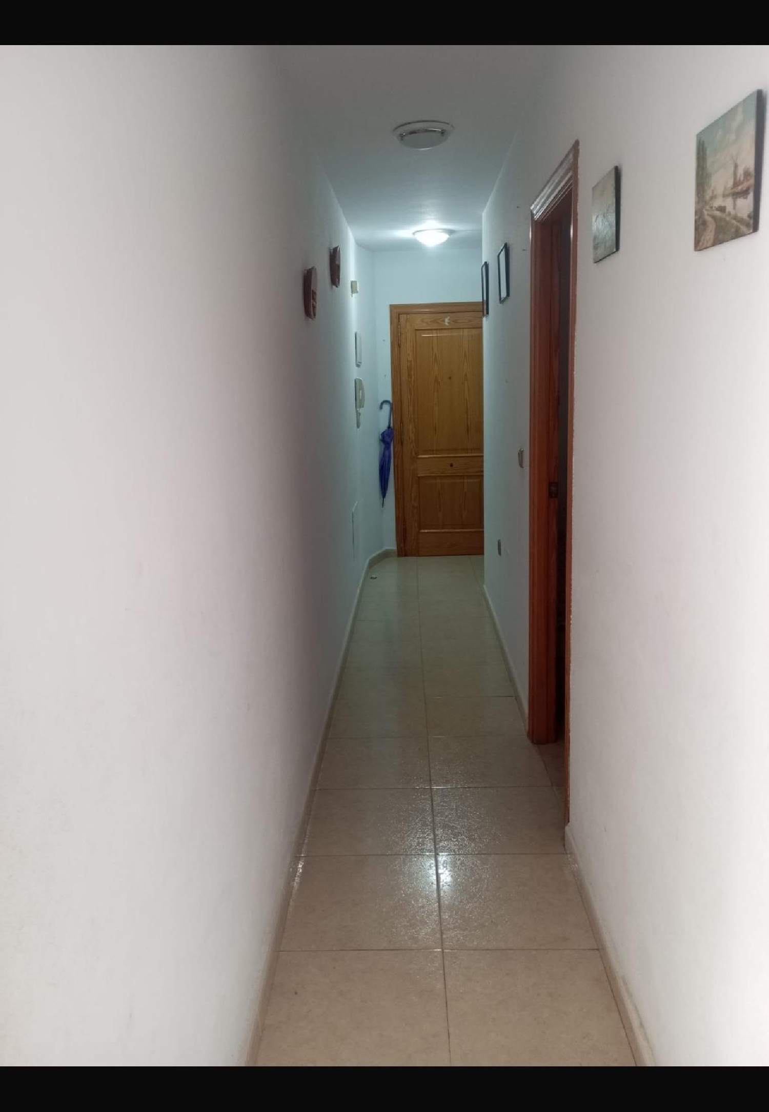  en venta ático Torrevieja Baix Segura 2