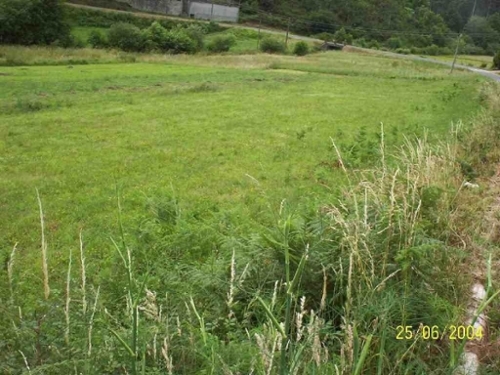 A Lamestrega Betanzos terreno foto 6275720