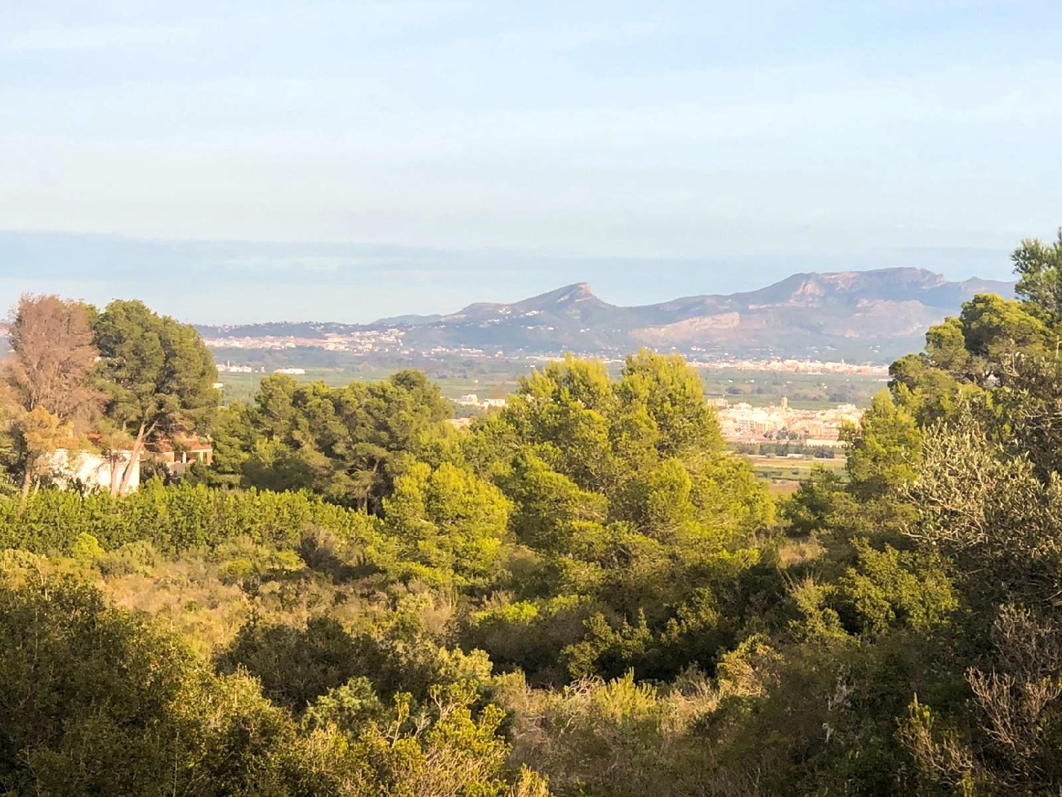  en venta terreno Alberic Ribera Alta 8