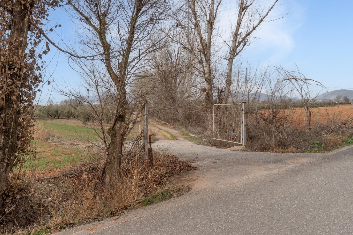  for sale plot Albolote Vega De Granada 5