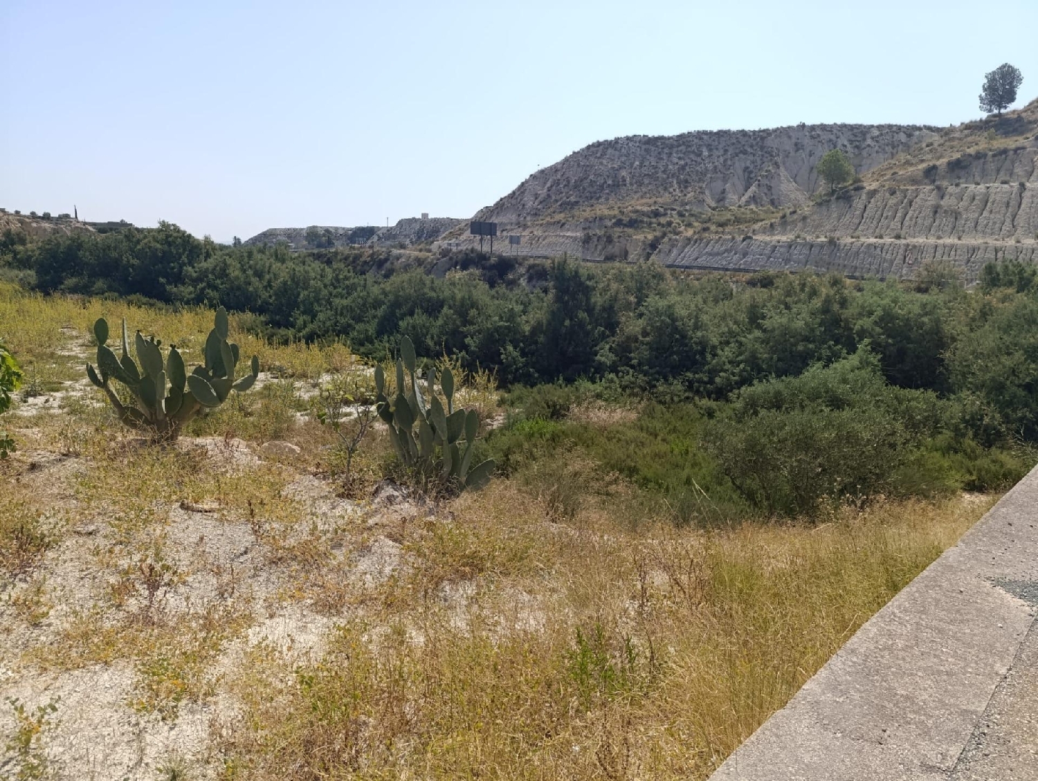 kaufen Grundstück Albudeite Río Mula 2