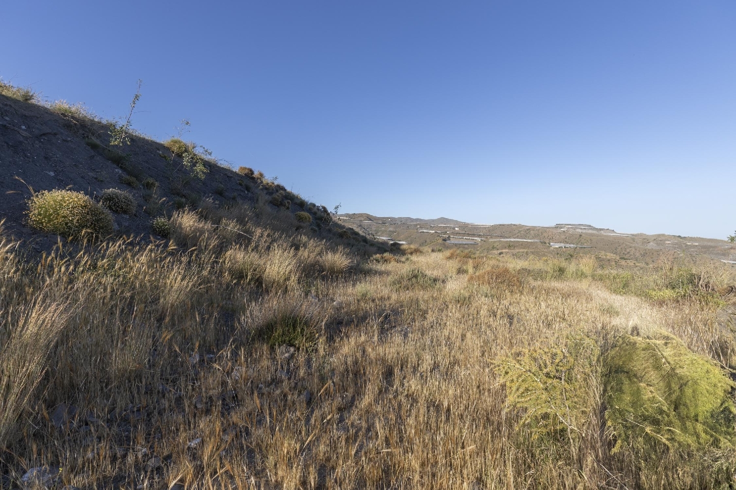  en venta terreno Albuñol Costa Tropical 3