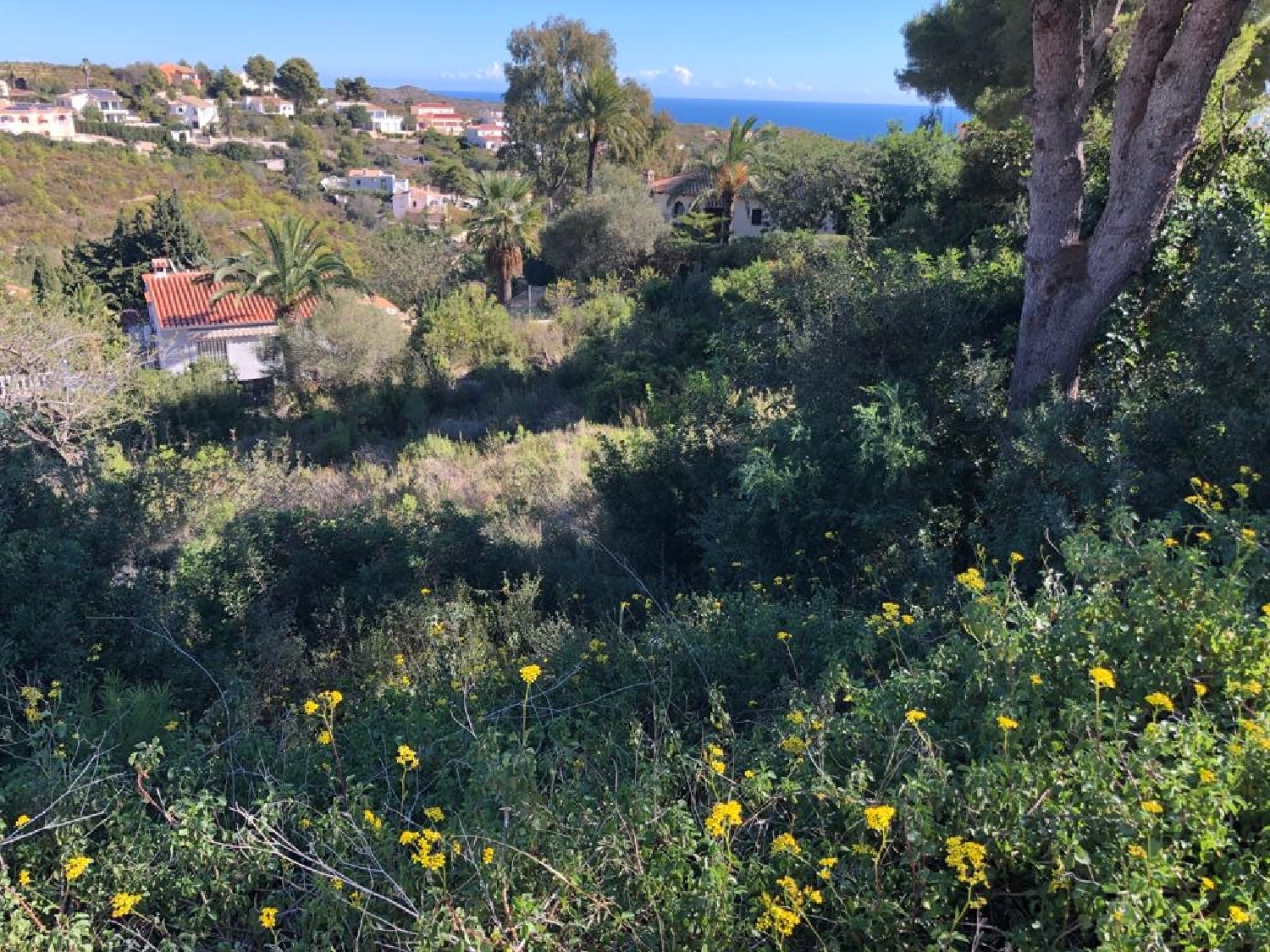 à vendre terrain Cumbre Del Sol Marina Alta 2