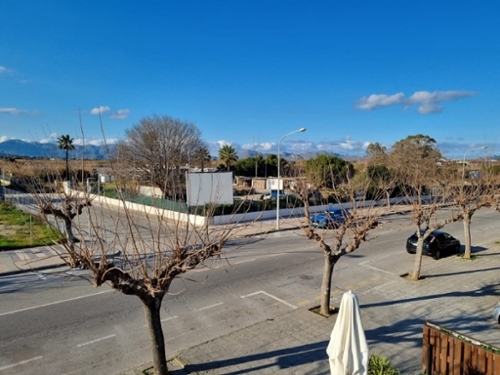 Alcudia Comtat terrain foto 6274940