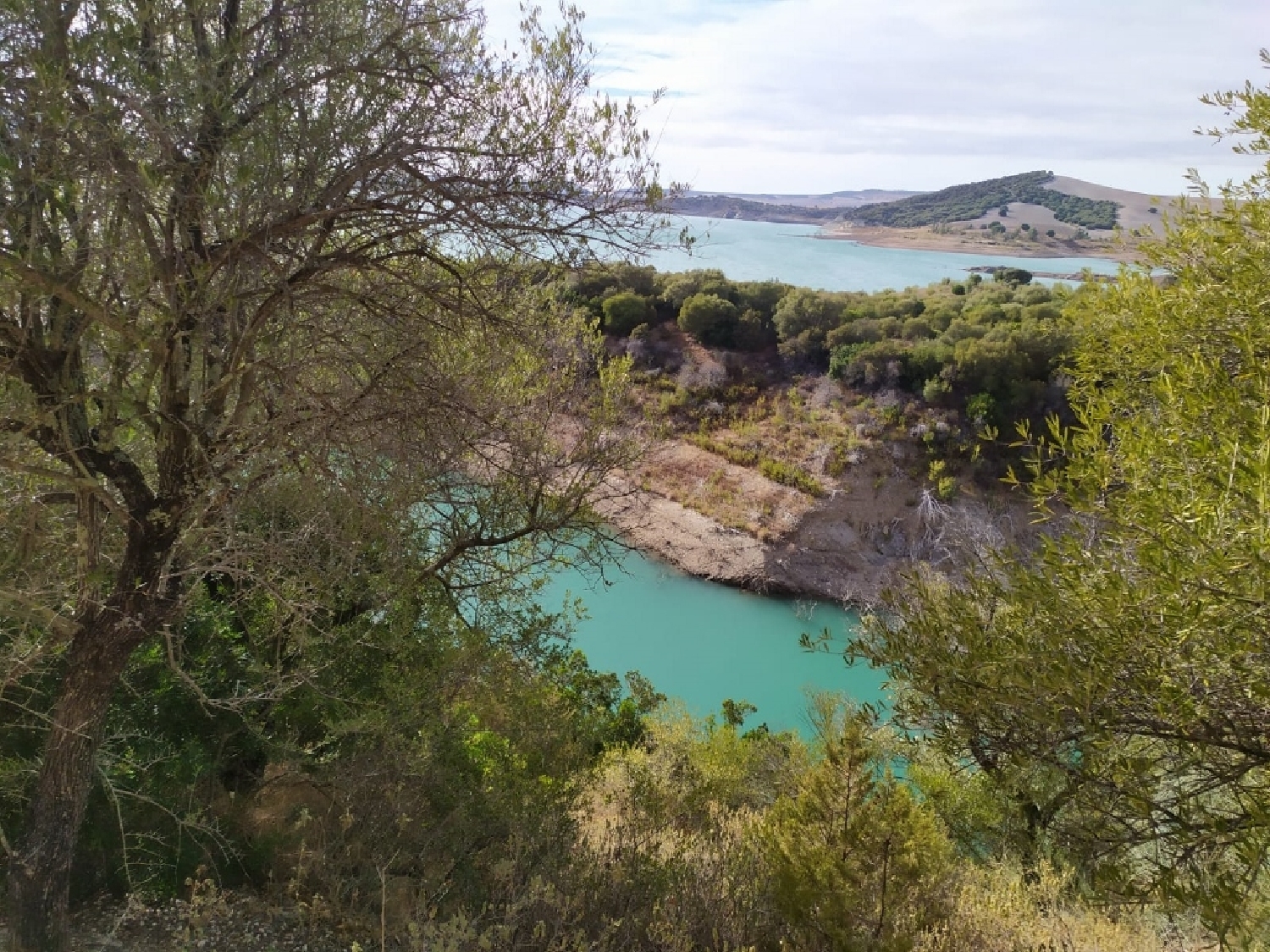  te koop perceel Algar Sierra De Cádiz 8