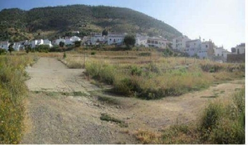 Algodonales Sierra De Cádiz terrain foto 6271468