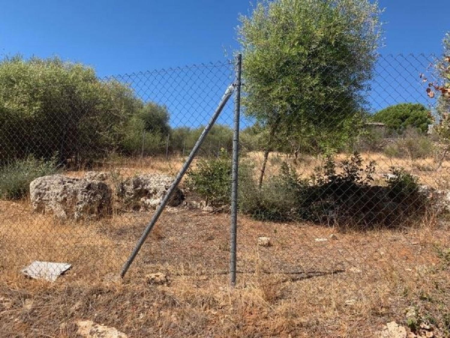 kaufen Grundstück Almodóvar Del Río Valle Medio Del Guadalquivir 2
