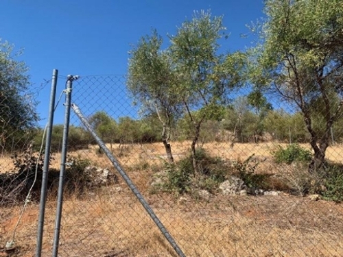 Almodóvar Del Río Valle Medio Del Guadalquivir Grundstück Bild 6273966
