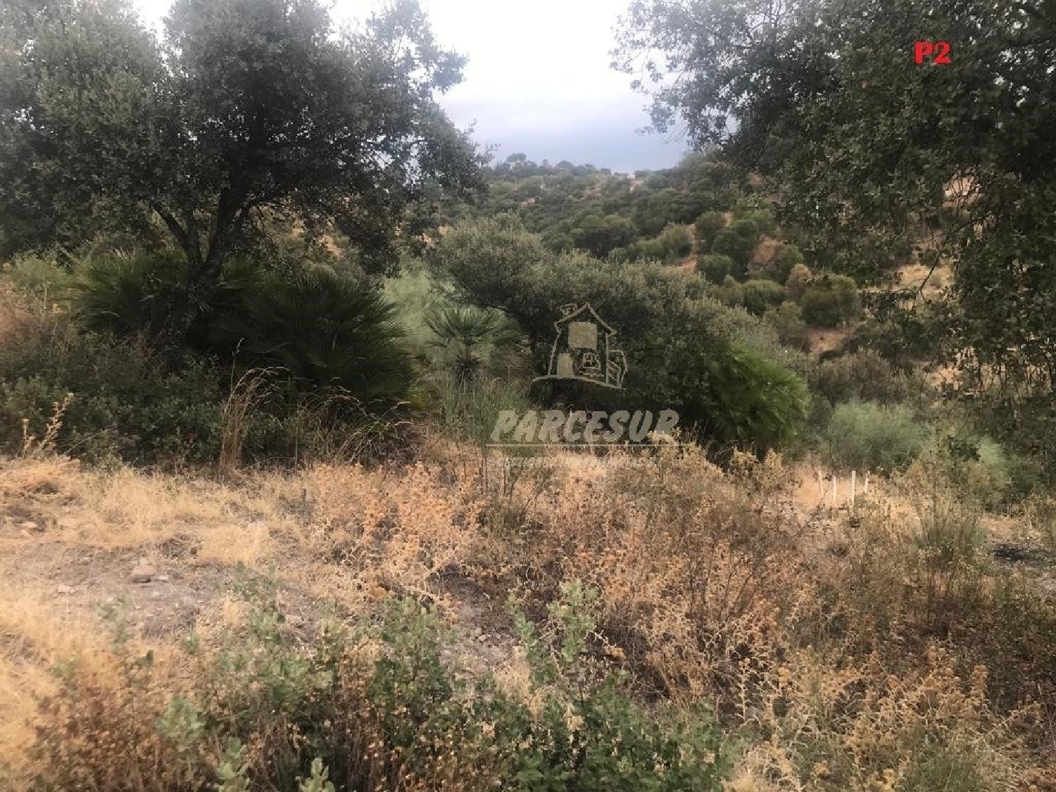  kaufen Grundstück Almodóvar Del Río Valle Medio Del Guadalquivir 7