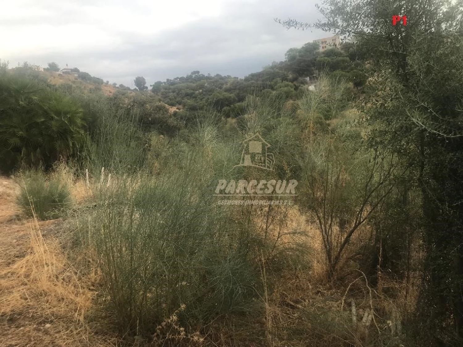 kaufen Grundstück Almodóvar Del Río Valle Medio Del Guadalquivir 3