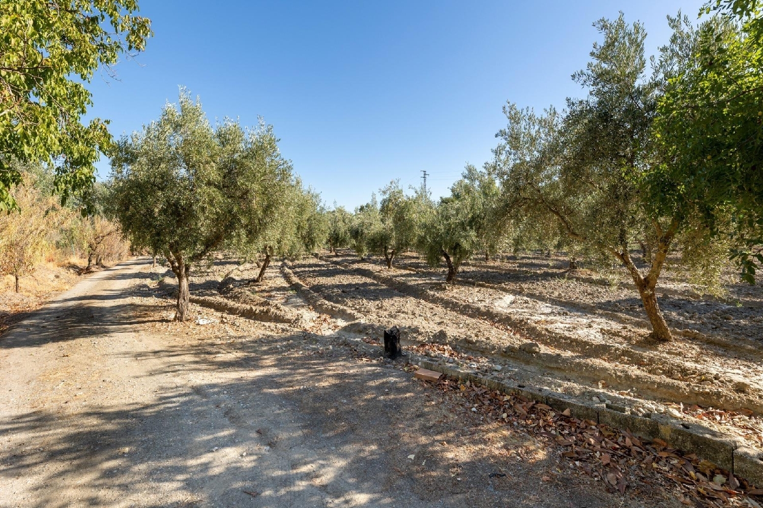 for sale plot Alquería Del Fargue Vega De Granada 2