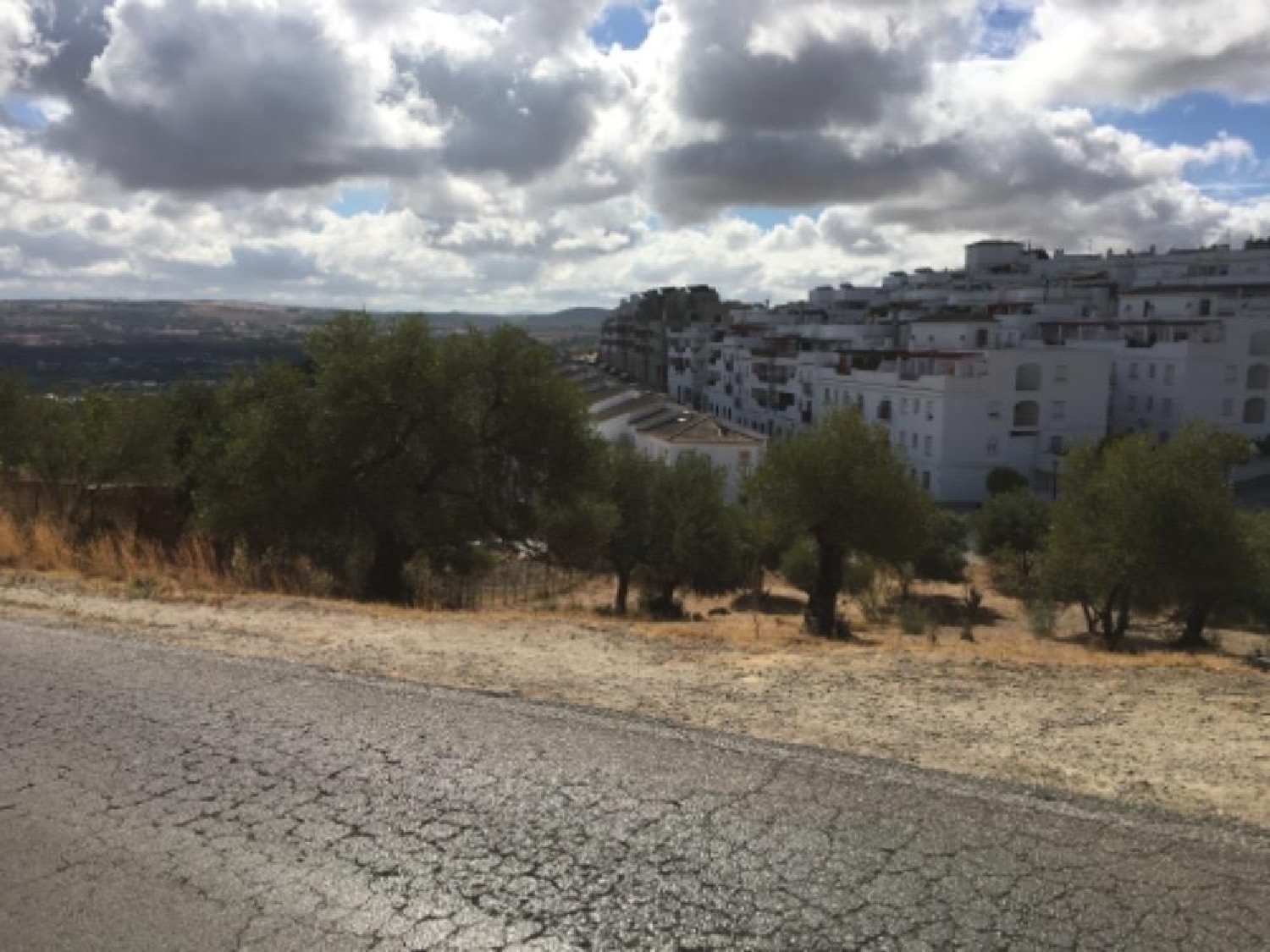  kaufen Grundstück Arcos De La Frontera Sierra De Cádiz 2