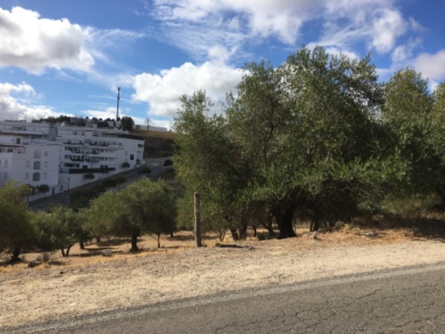  kaufen Grundstück Arcos De La Frontera Sierra De Cádiz 1