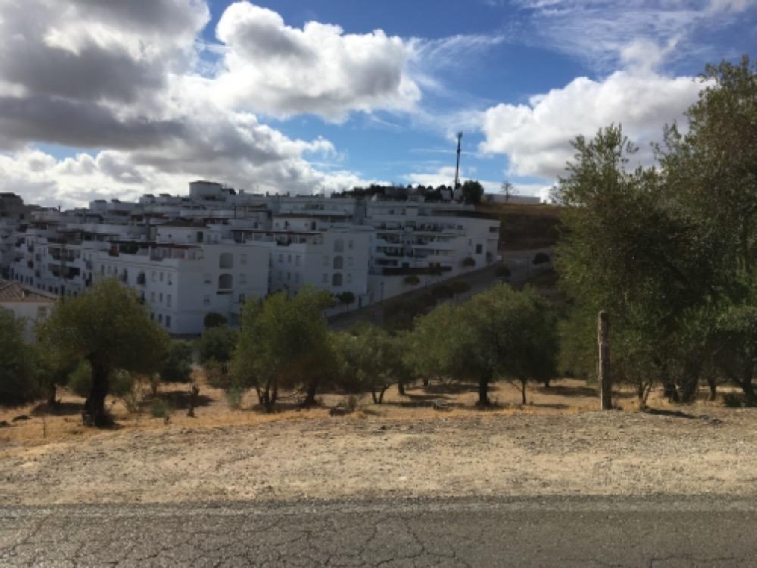  kaufen Grundstück Arcos De La Frontera Sierra De Cádiz 3