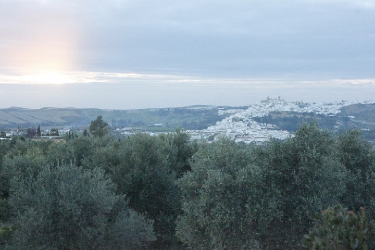  en venta terreno Arcos De La Frontera Sierra De Cádiz 2