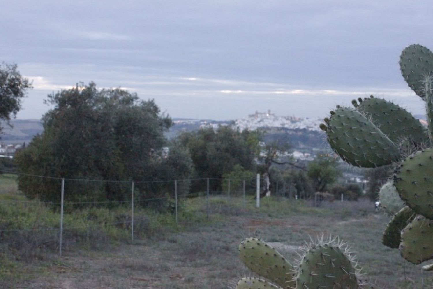  en venta terreno Arcos De La Frontera Sierra De Cádiz 7