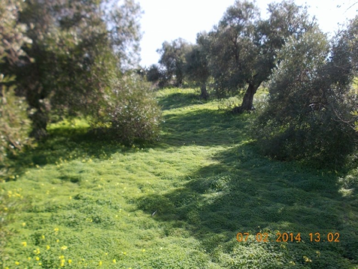  en venta terreno Arcos De La Frontera Sierra De Cádiz 12