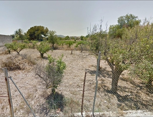 Aspe Vinalopó Mitjà terrain foto 6279161