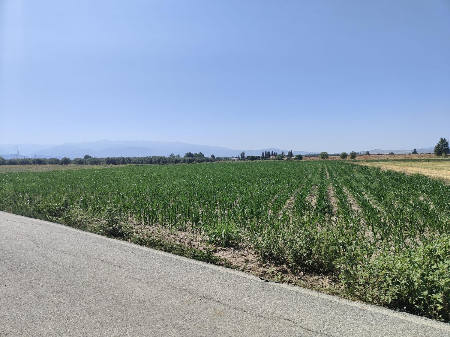  te koop perceel Atarfe Vega De Granada 5
