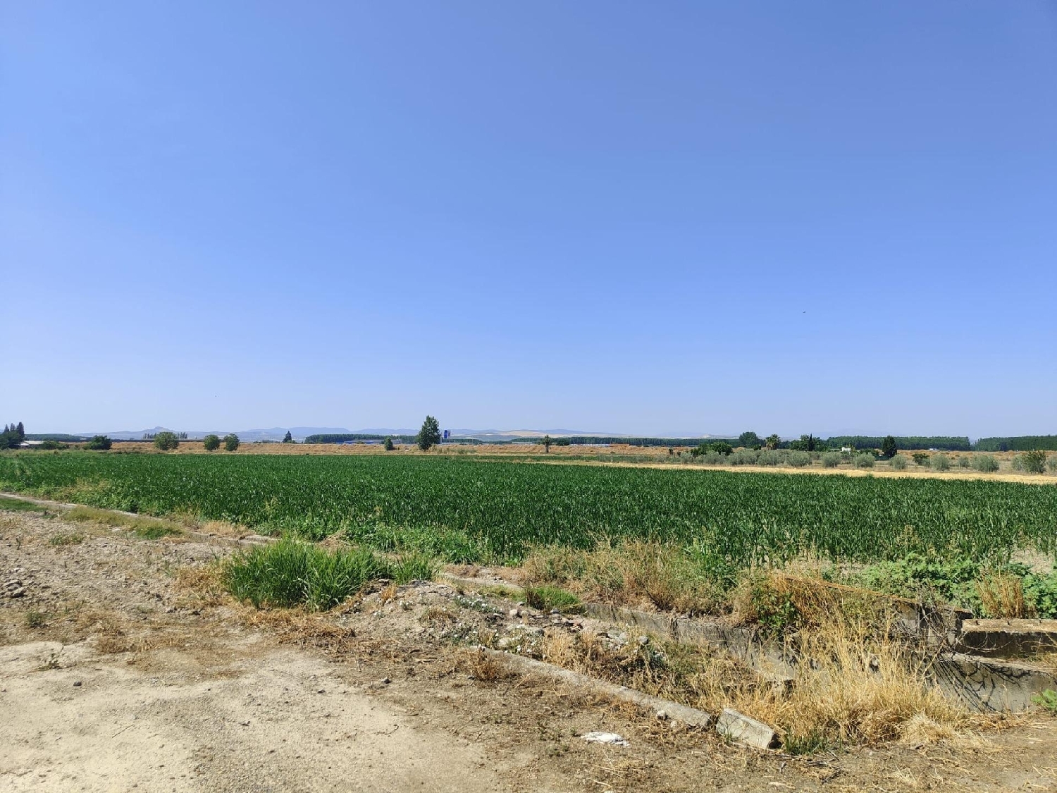 te koop perceel Atarfe Vega De Granada 2