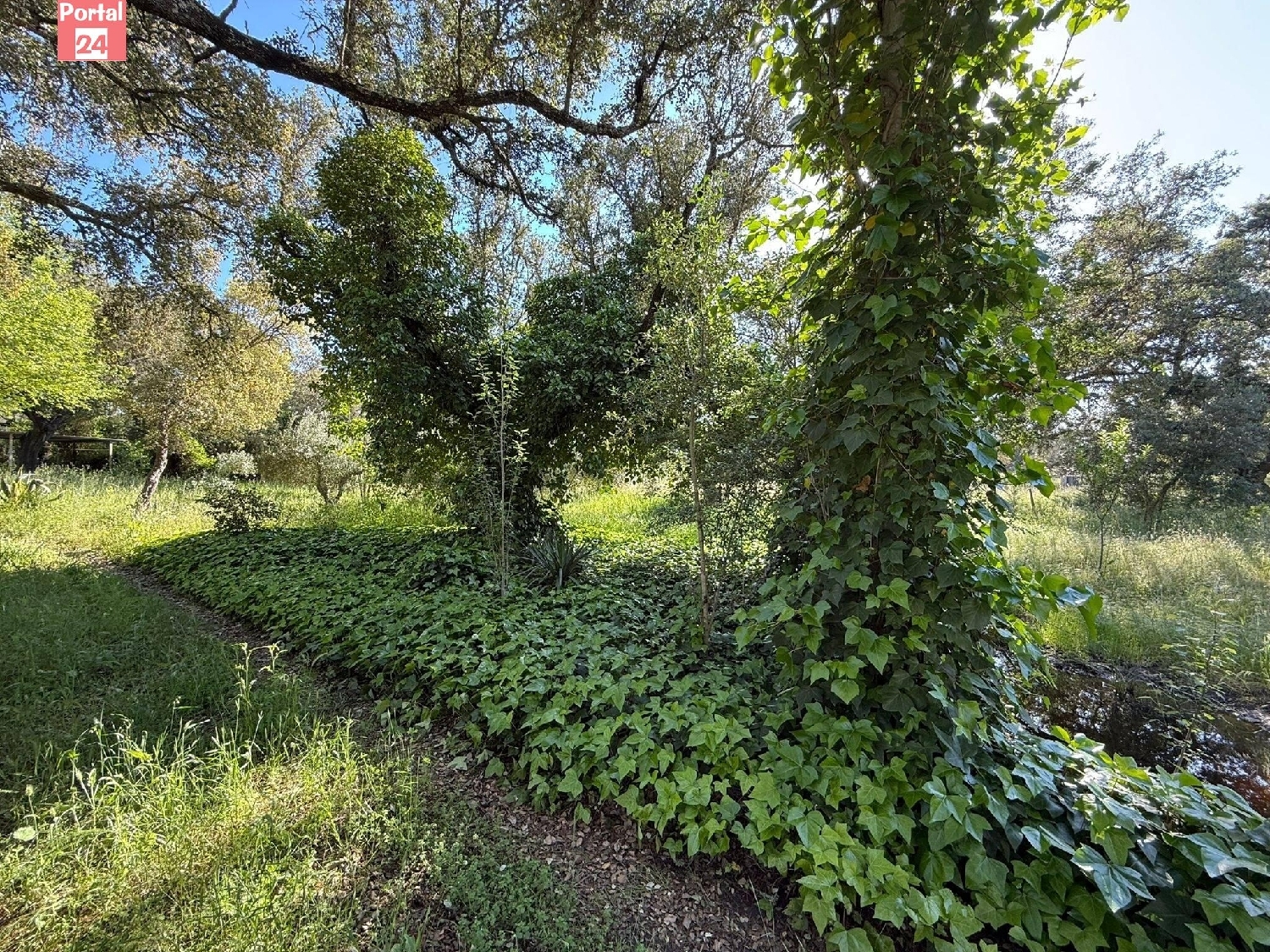  for sale plot Badajoz Casco Antiguo-Centro Badajoz 4