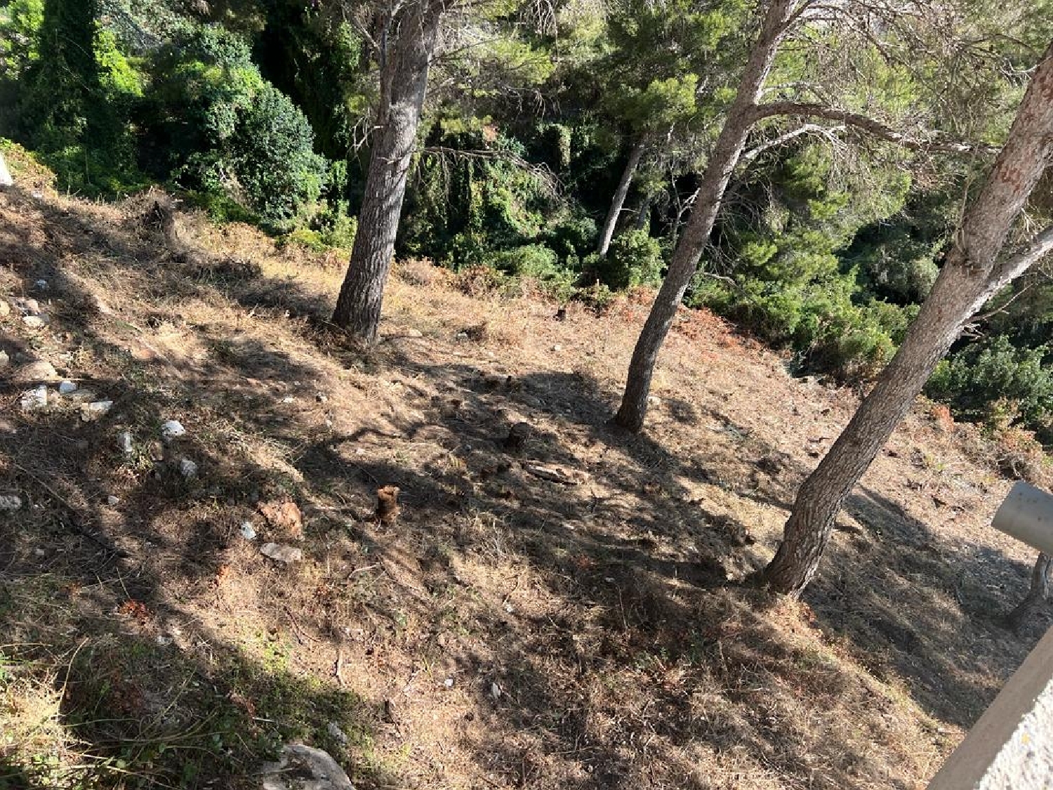  te koop perceel Bahía De Javea Marina Alta 4