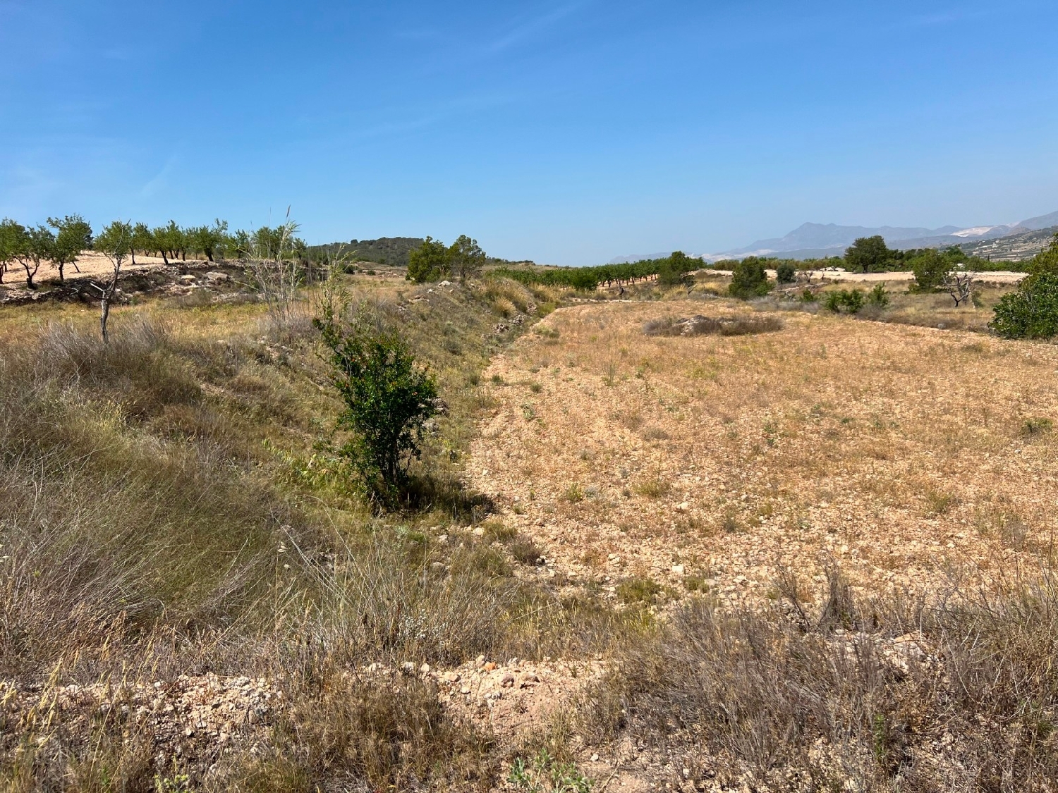  till salu tomt Barbarroja Baix Segura 6