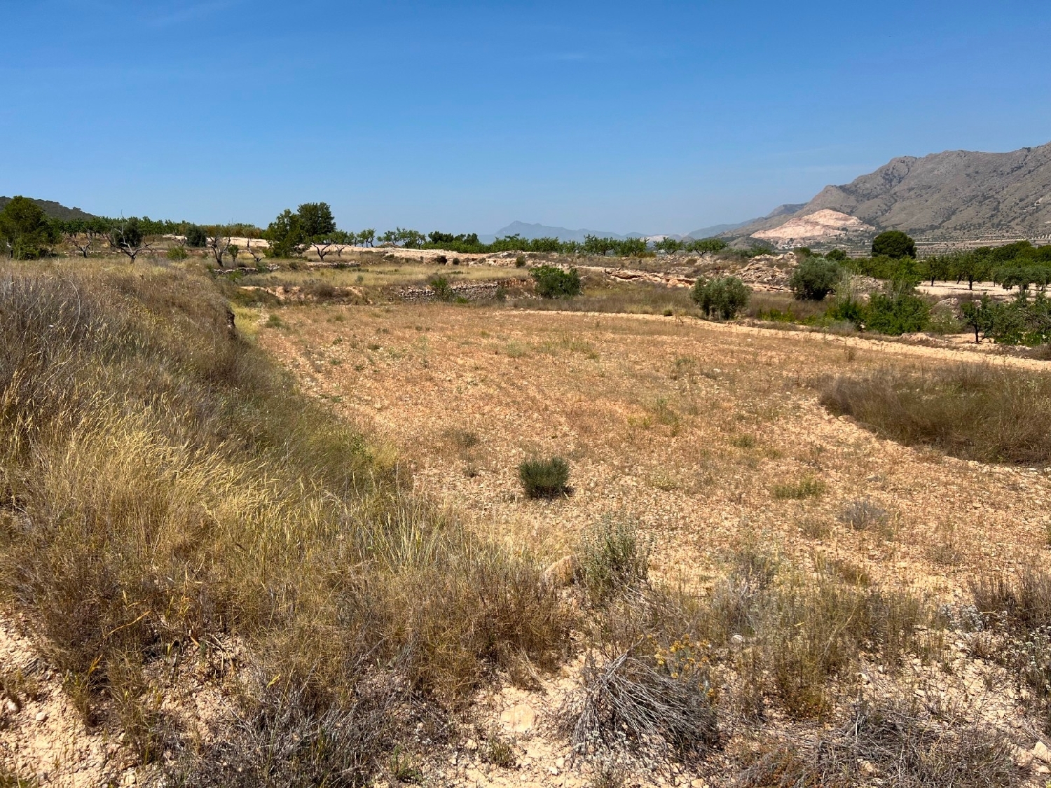  till salu tomt Barbarroja Baix Segura 4