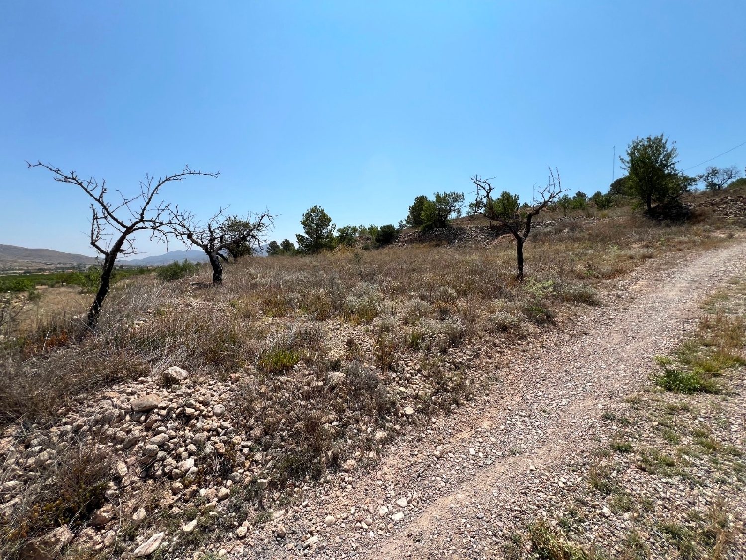  till salu tomt Barbarroja Baix Segura 11