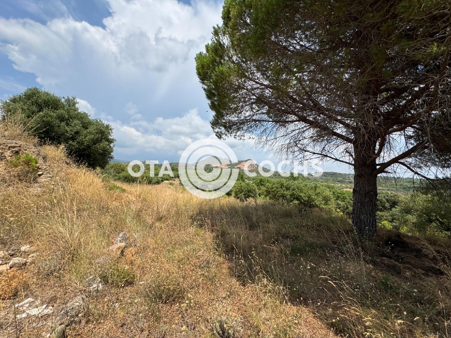  te koop perceel Barriada Les Tres Creus Bages 5