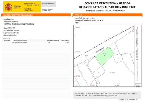 Bufali Vall D''albaida tomt foto 6275755