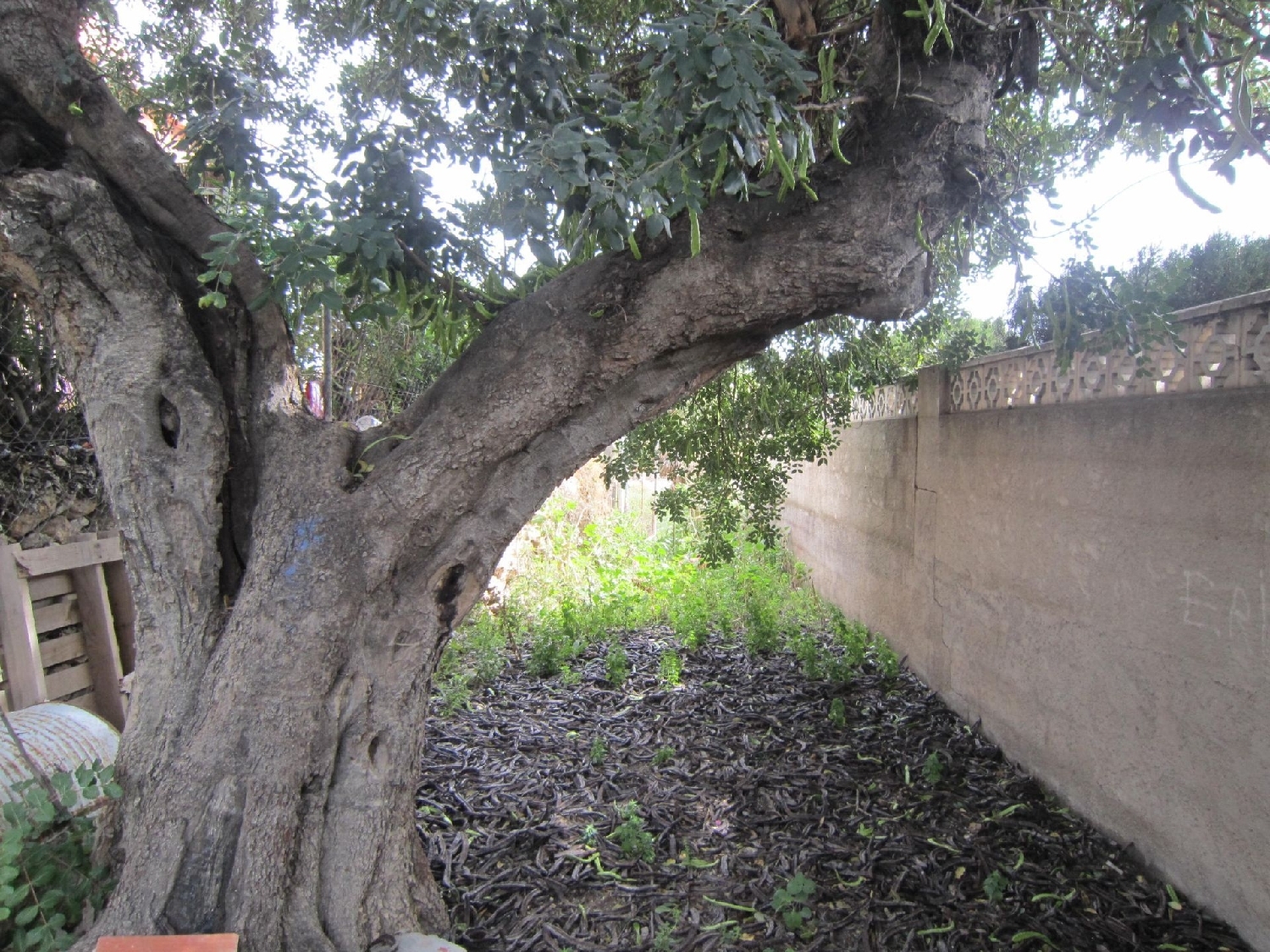  te koop perceel Calpe Marina Alta 7