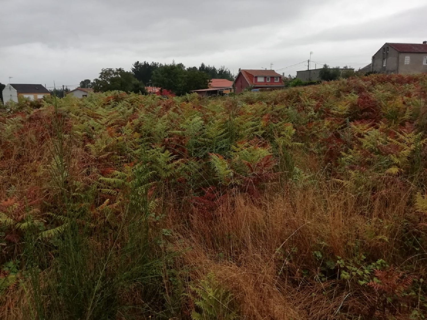  kaufen Grundstück Carballo Arzúa 5