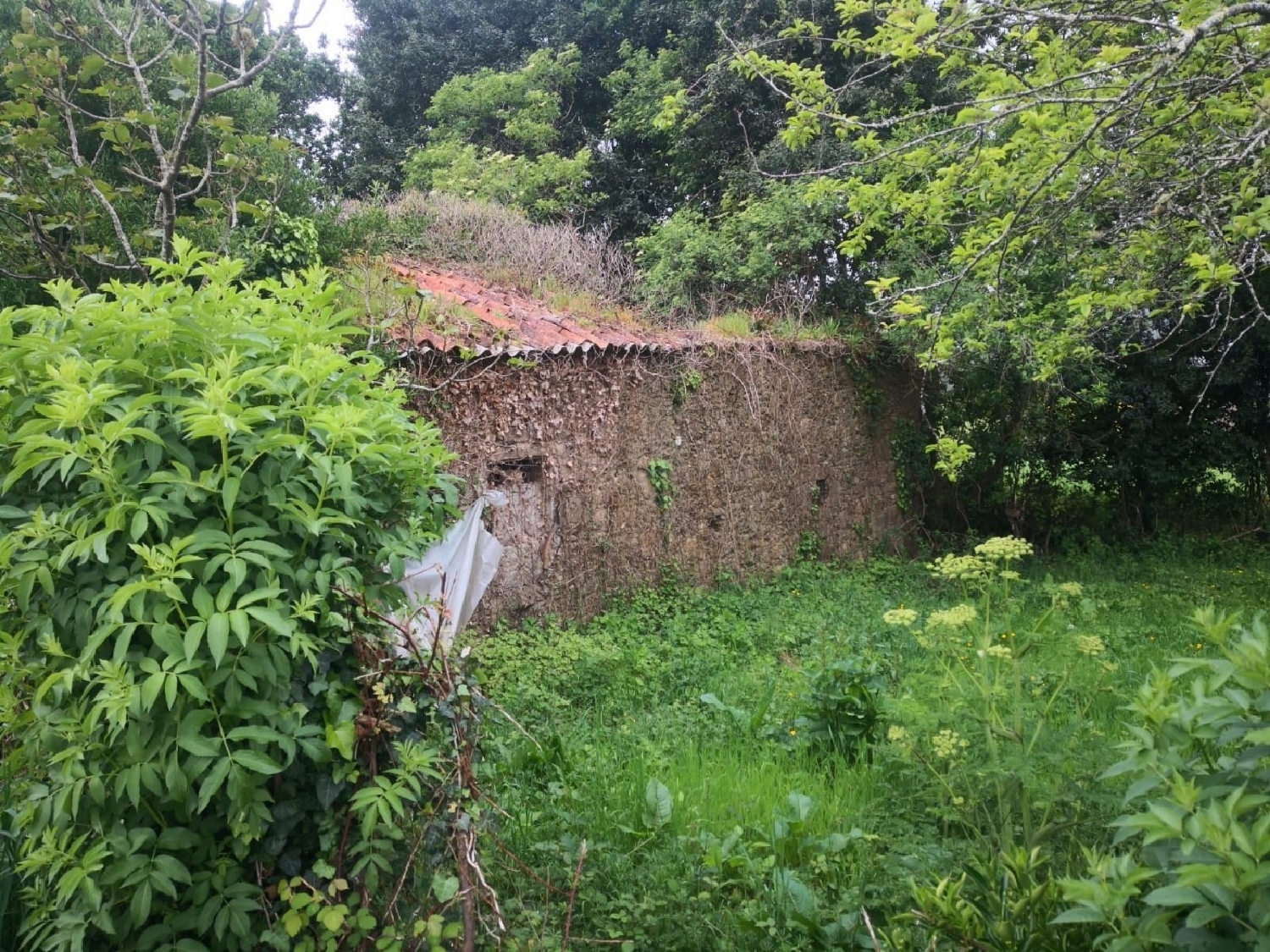  te koop perceel Carballo Arzúa 2