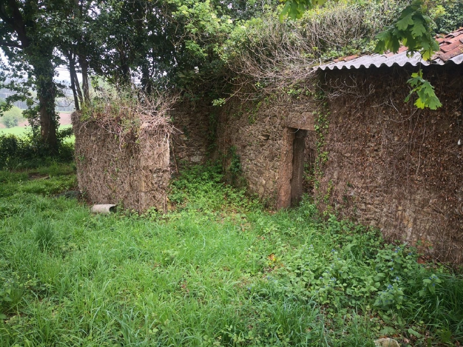  te koop perceel Carballo Arzúa 1