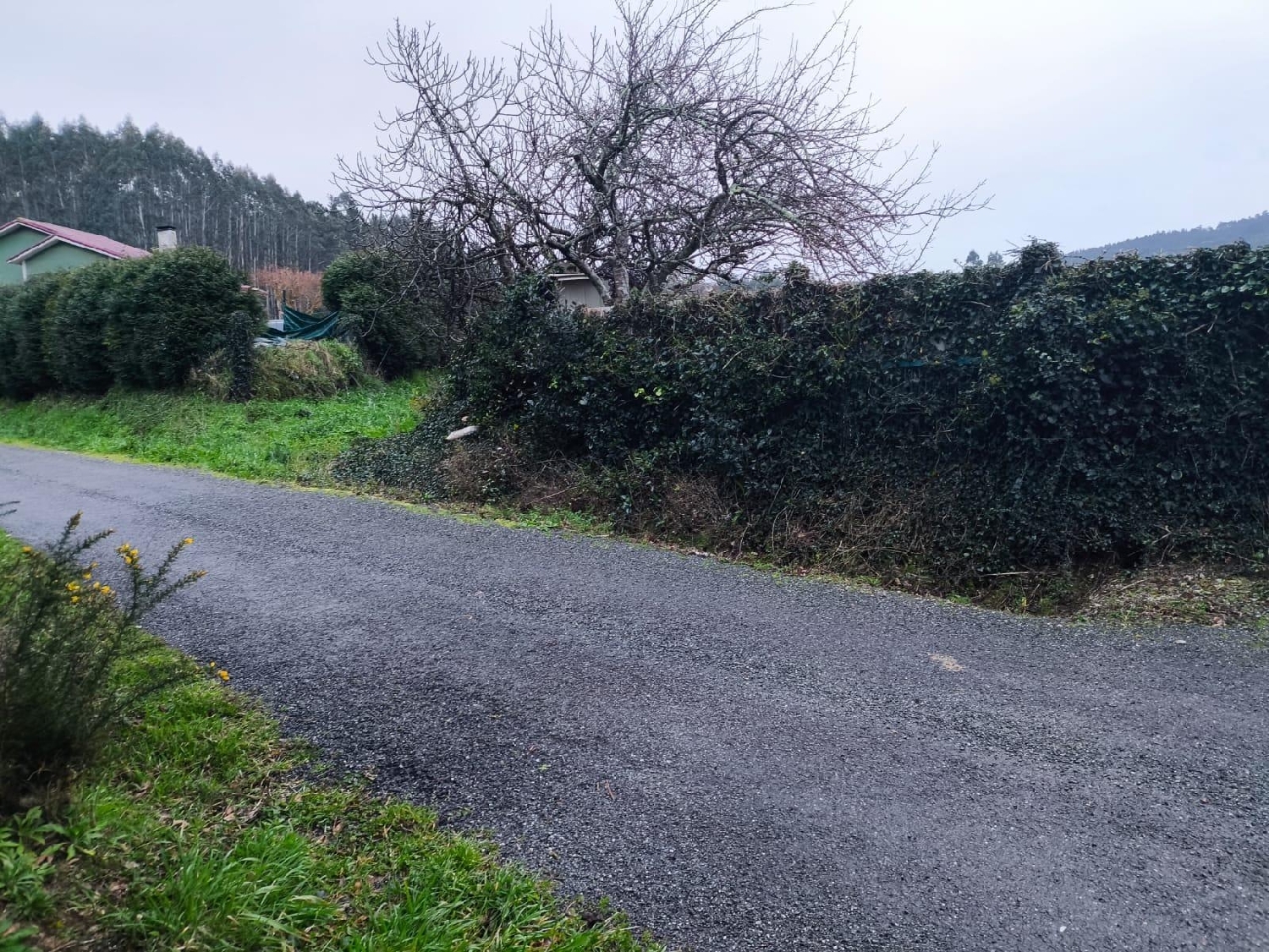  kaufen Grundstück Carballo Arzúa 3