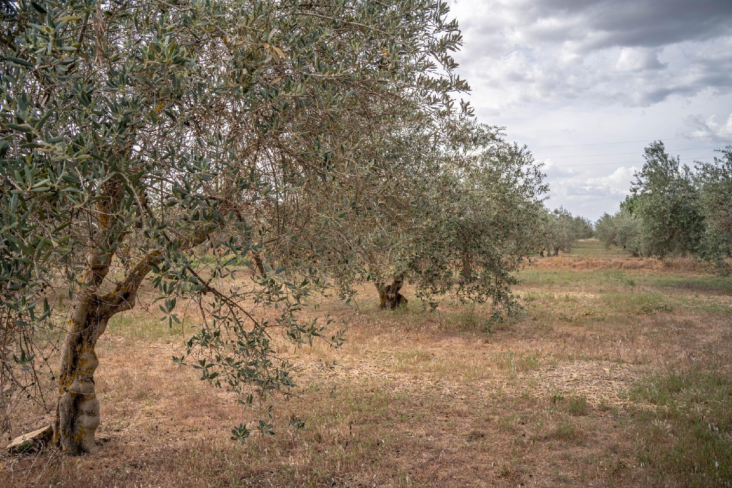  for sale plot Caserío De Belerda Accitania 5
