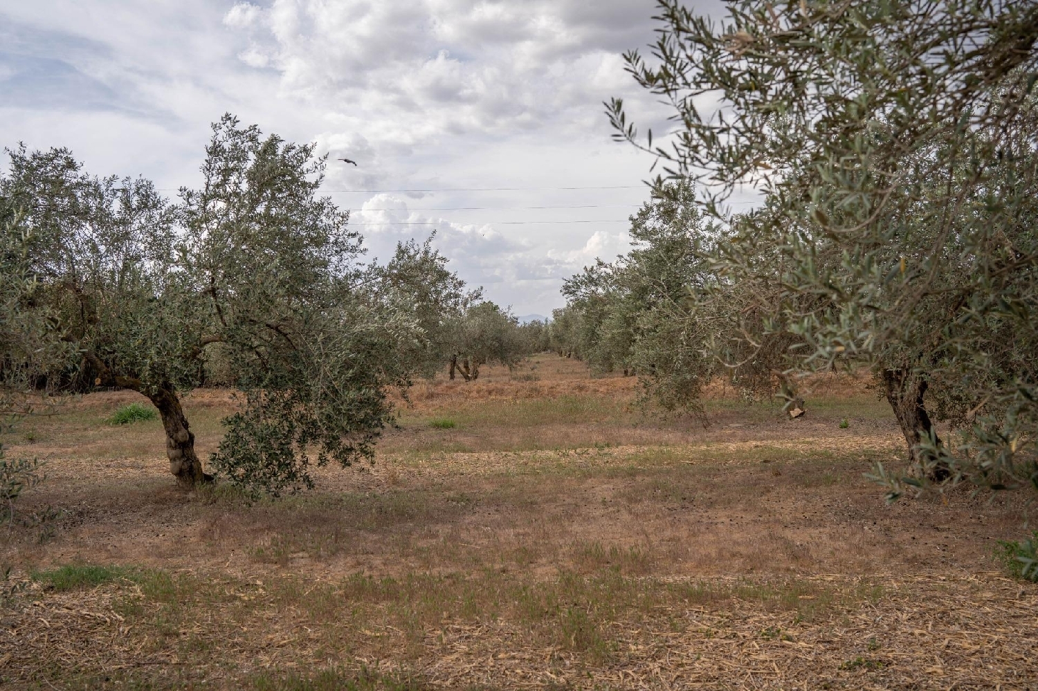  for sale plot Caserío De Belerda Accitania 6