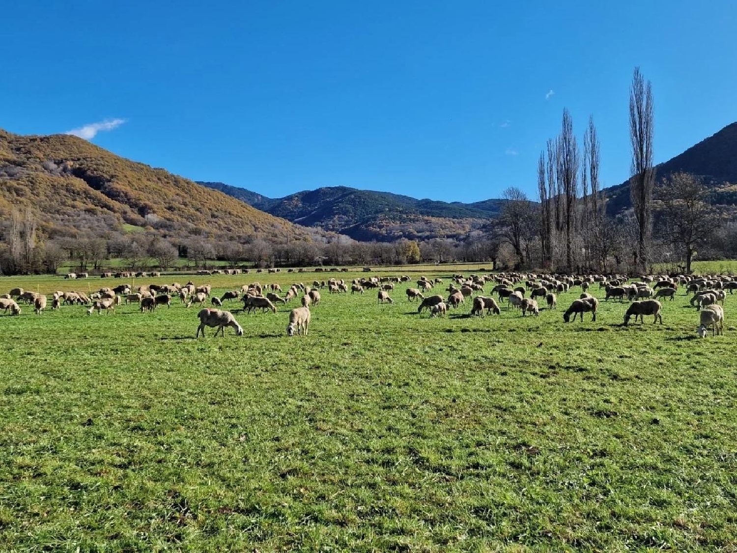  for sale plot Castejón De Sos Ribagorza (La) 3