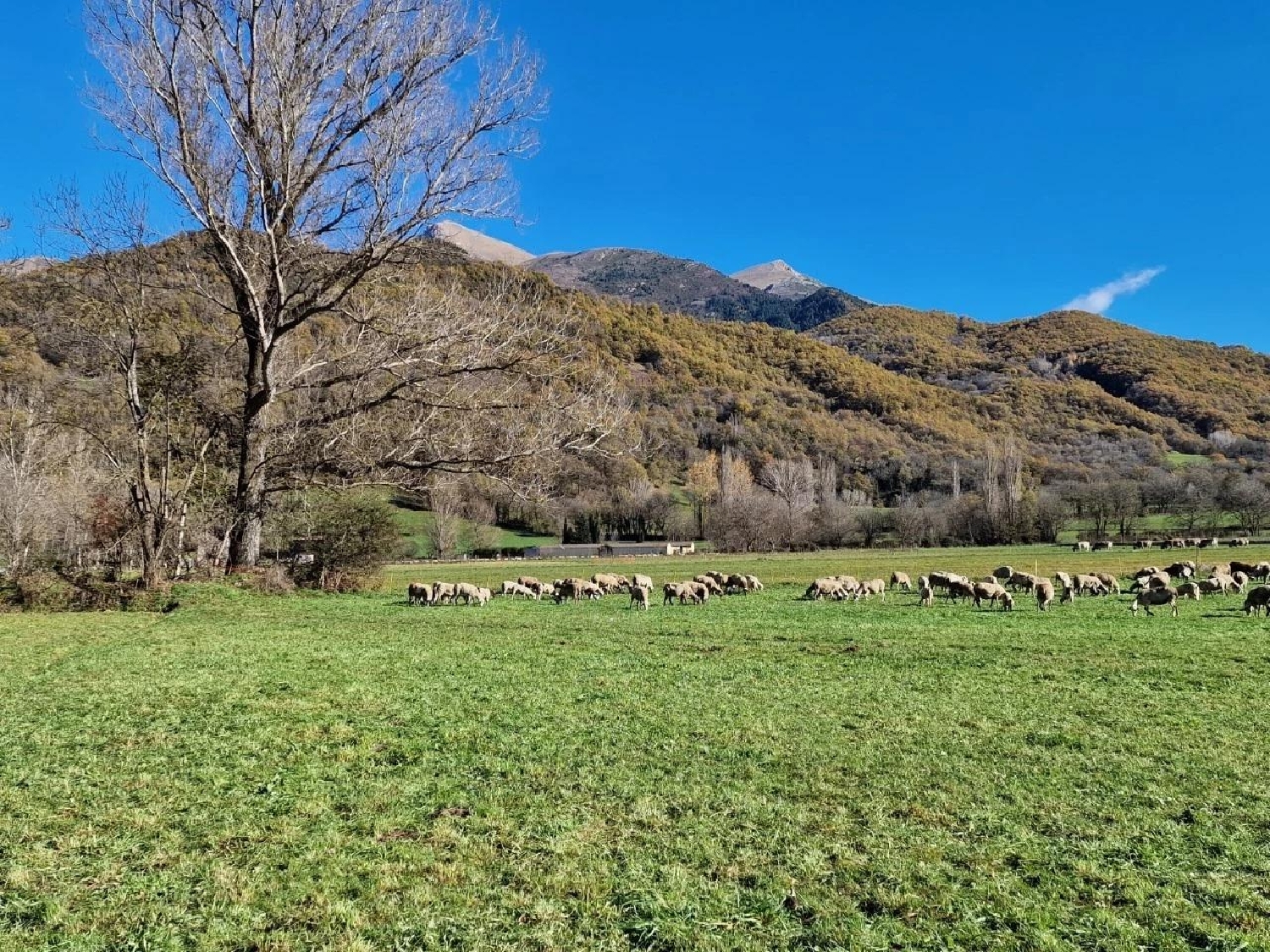  for sale plot Castejón De Sos Ribagorza (La) 6