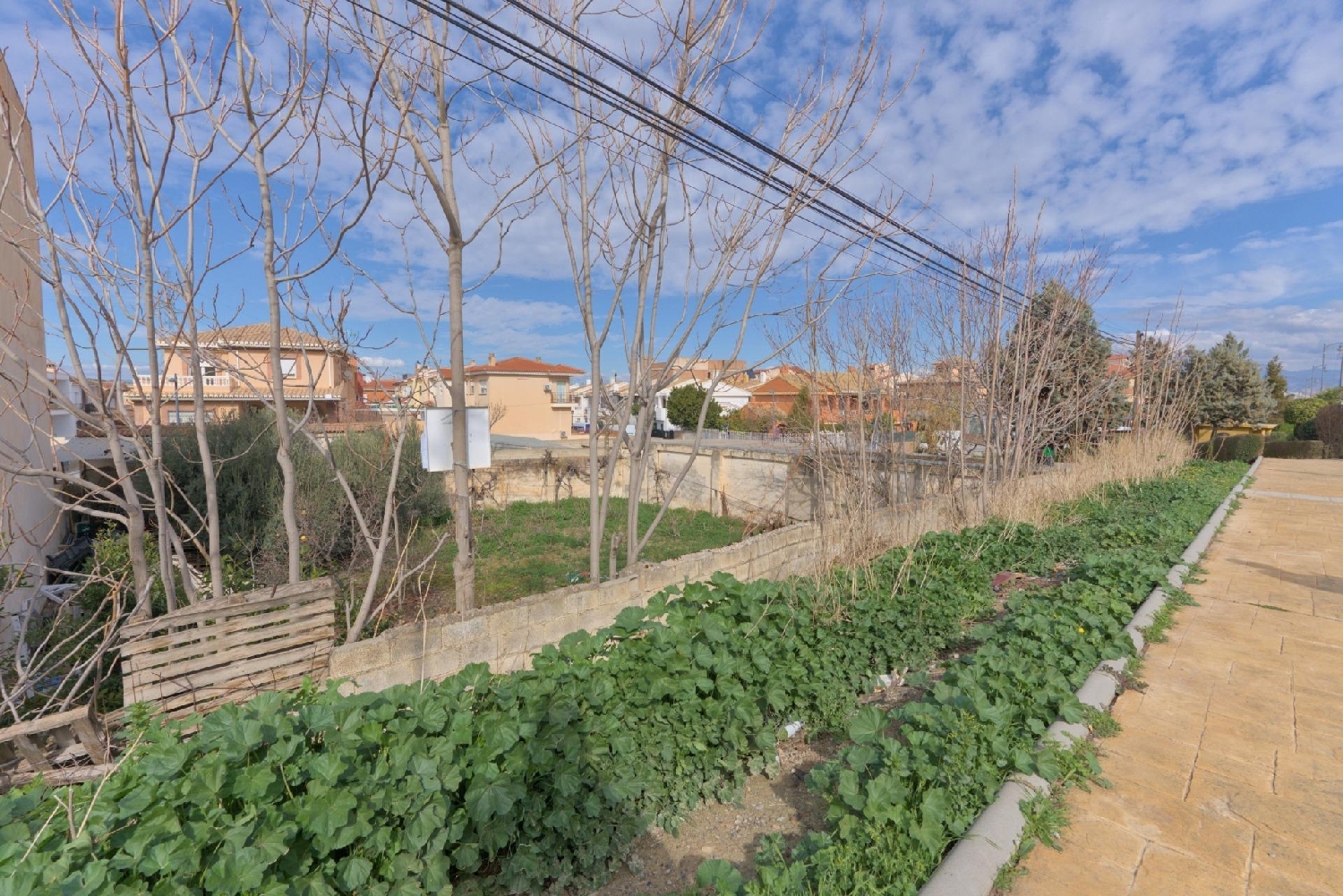  en venta terreno Castell De Ferro Costa Tropical 6