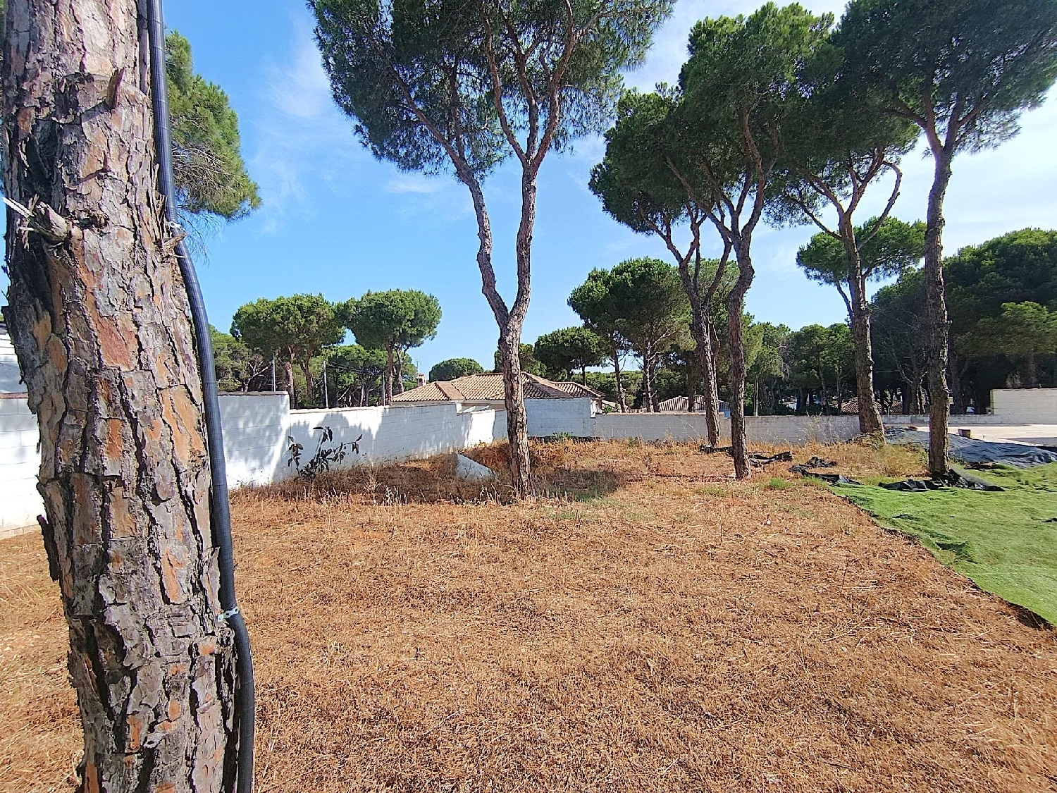  for sale plot Chiclana De La Frontera Bahía De Cádiz 5