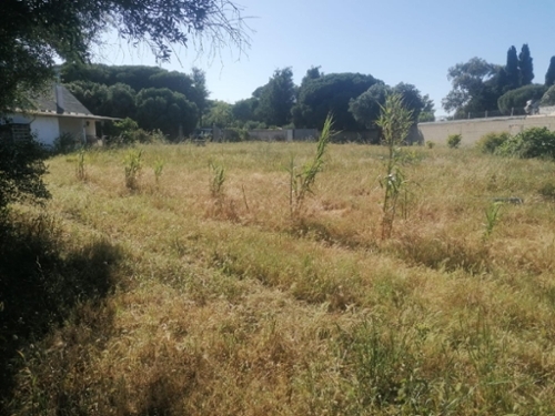 Chiclana De La Frontera Bahía De Cádiz plot foto 6282336