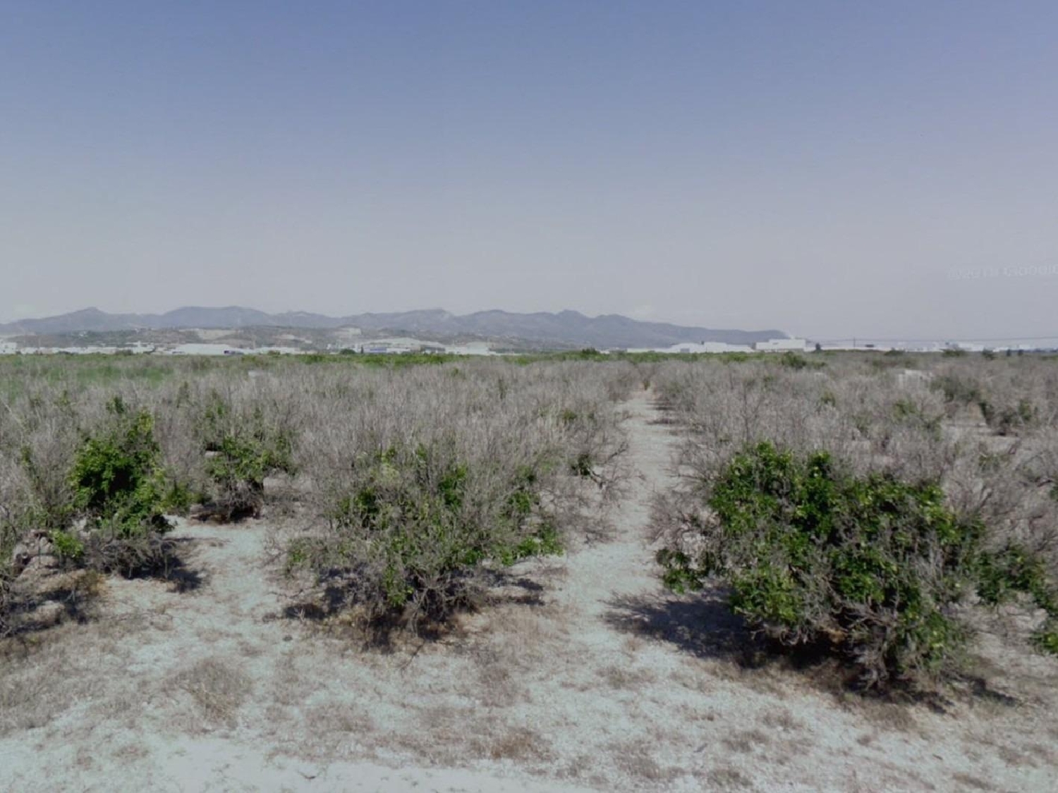  for sale plot Chilches Plana Baixa 6