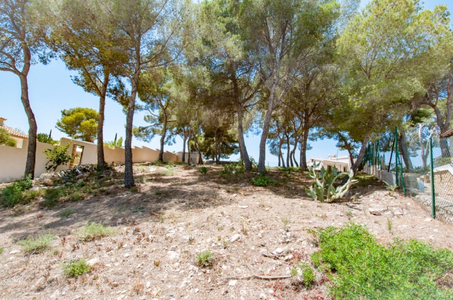  à vendre terrain Ciudad Jardín Alacantí 15