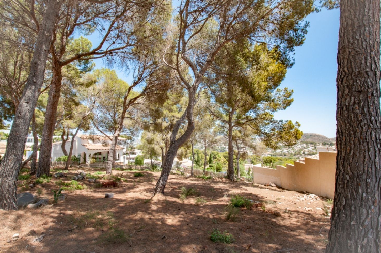  à vendre terrain Ciudad Jardín Alacantí 18