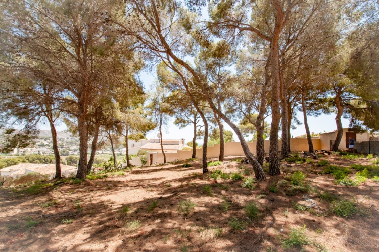  à vendre terrain Ciudad Jardín Alacantí 12