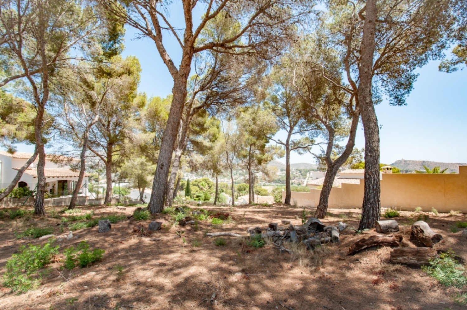  à vendre terrain Ciudad Jardín Alacantí 10