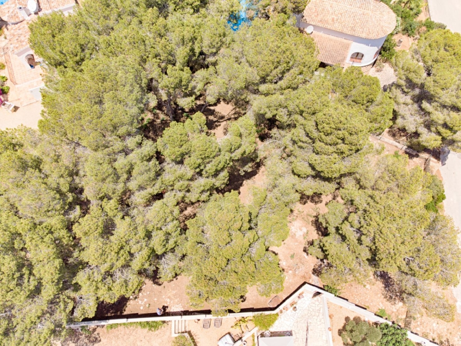 à vendre terrain Ciudad Jardín Alacantí 9