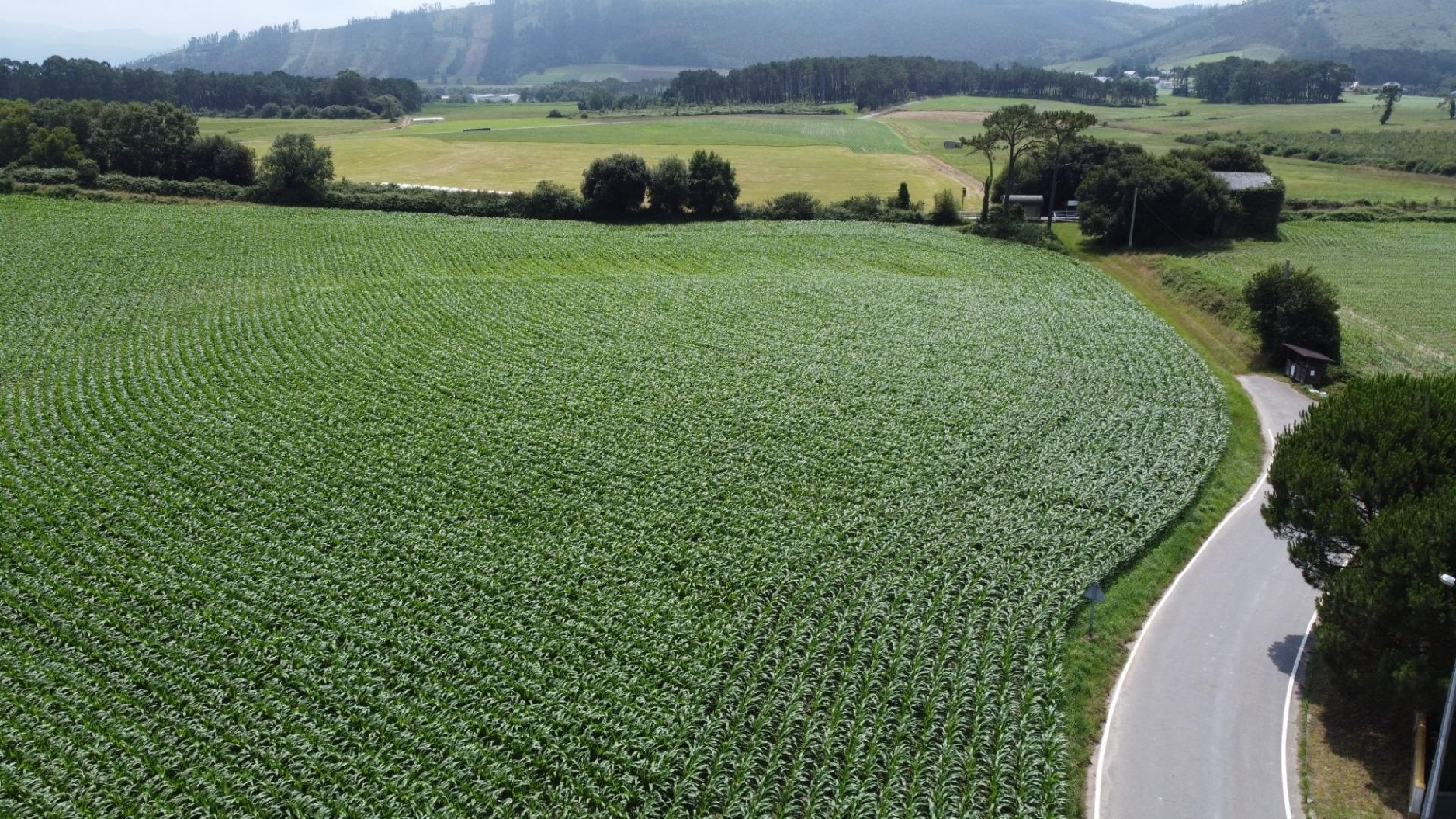  for sale plot Coaña Eo-Navia 8